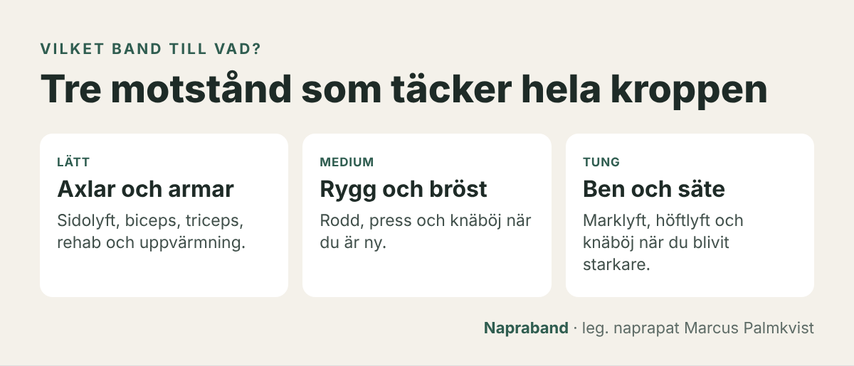 Tre motstånd för hela kroppen: lätt för axlar och armar, medium för rygg och bröst, tung för ben och säte
