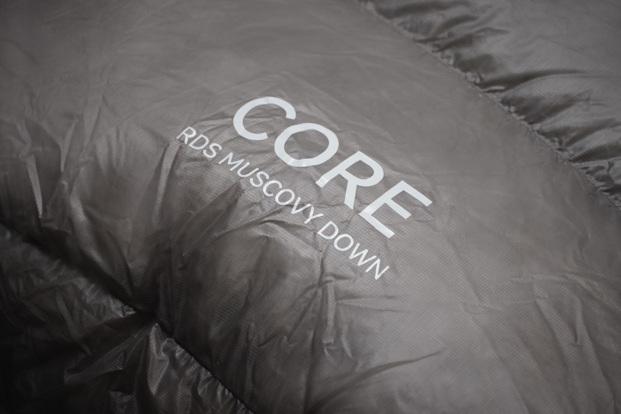 Ice flame core logga