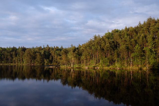 Bastu utomhus i trä från Wellnessathome för avkoppling och värme i trädgården året runt