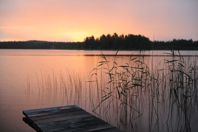 Mobil bastuvagn med vedeldad bastu från Wellnessathome för flexibel wellness utomhus