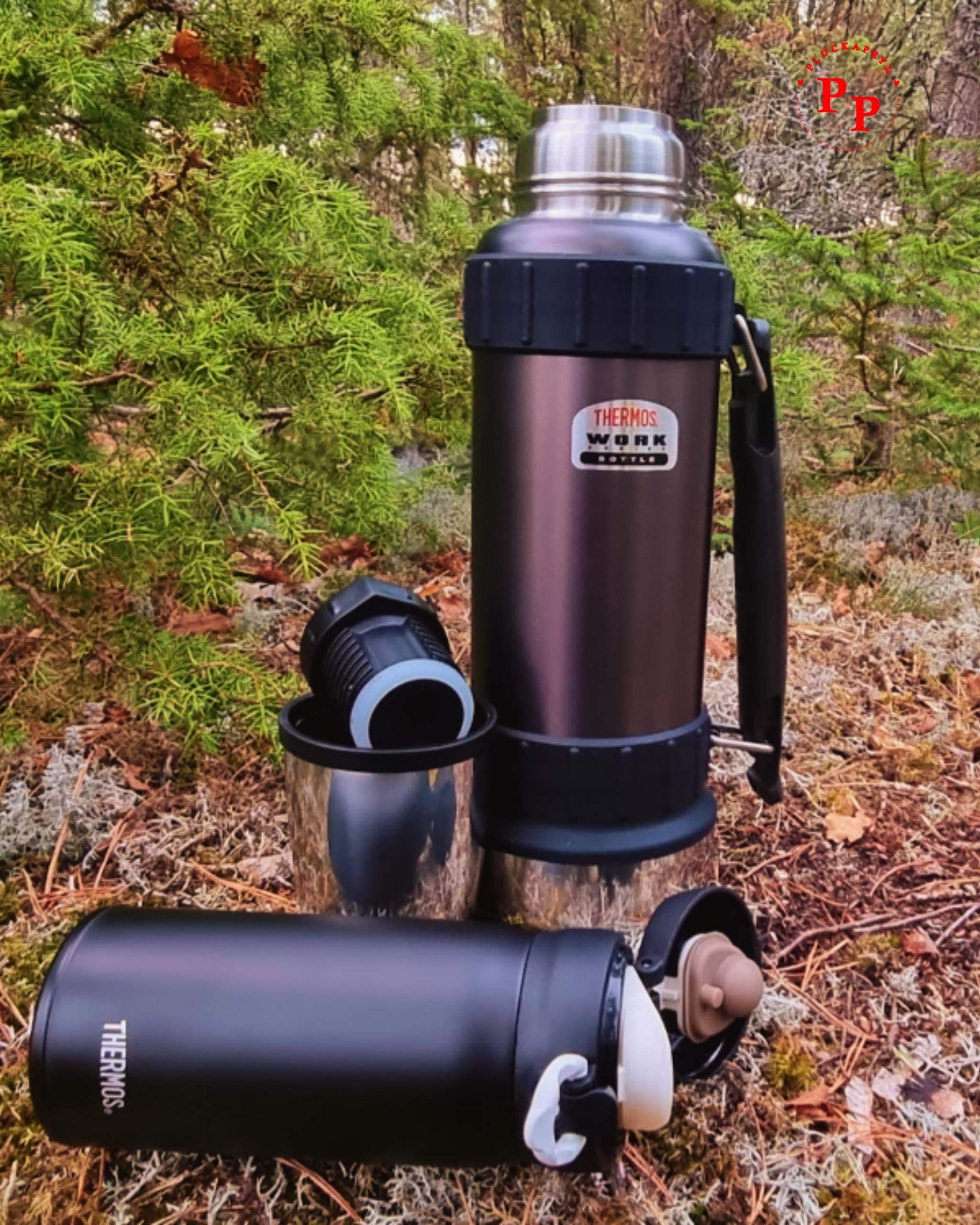 Termosar i naturen en höstdag