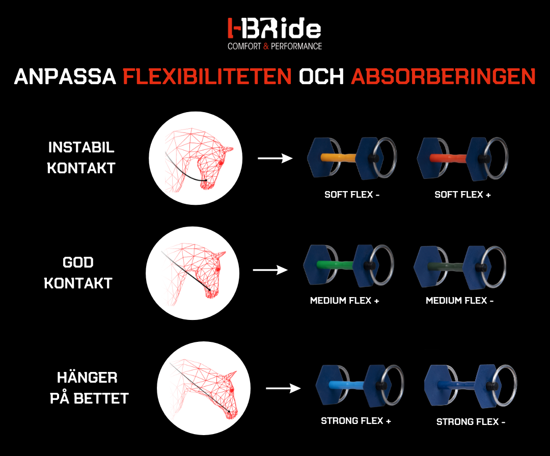 I-BRide koncept