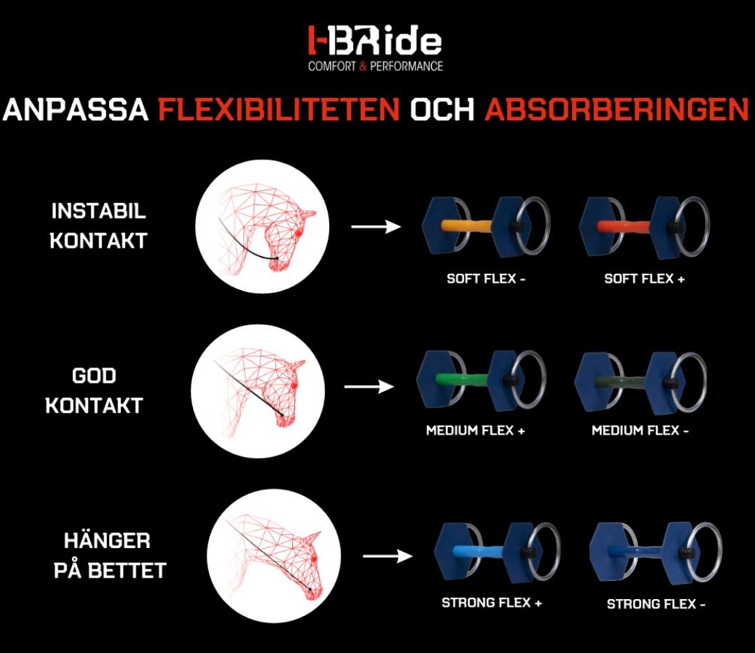I-BRide