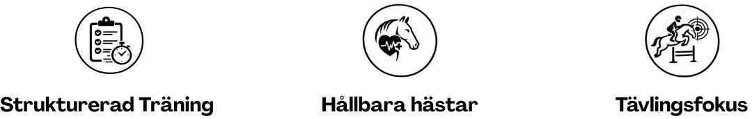 Vägen mot framgång