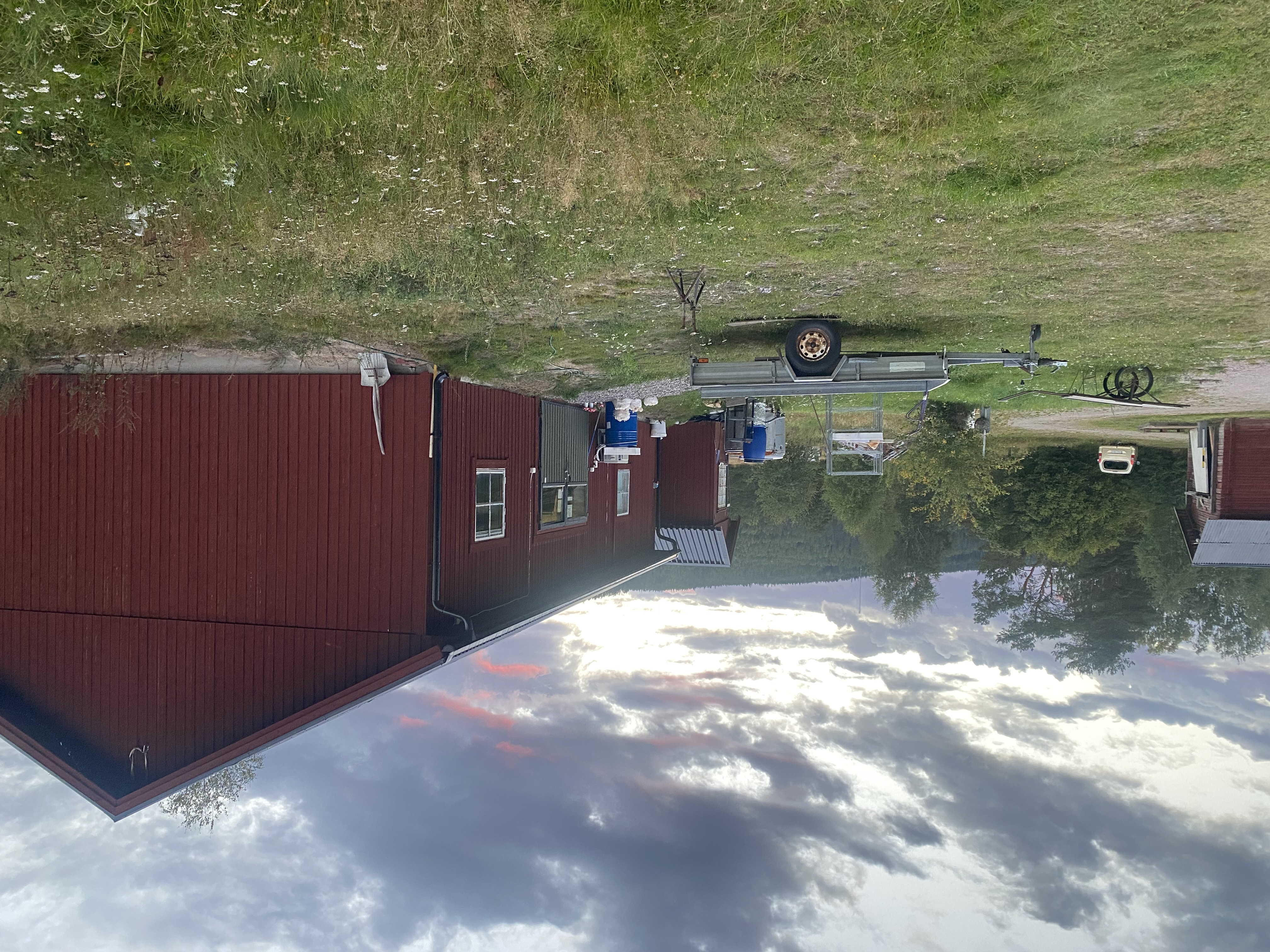 Bild från Svampfabrikens svampodling