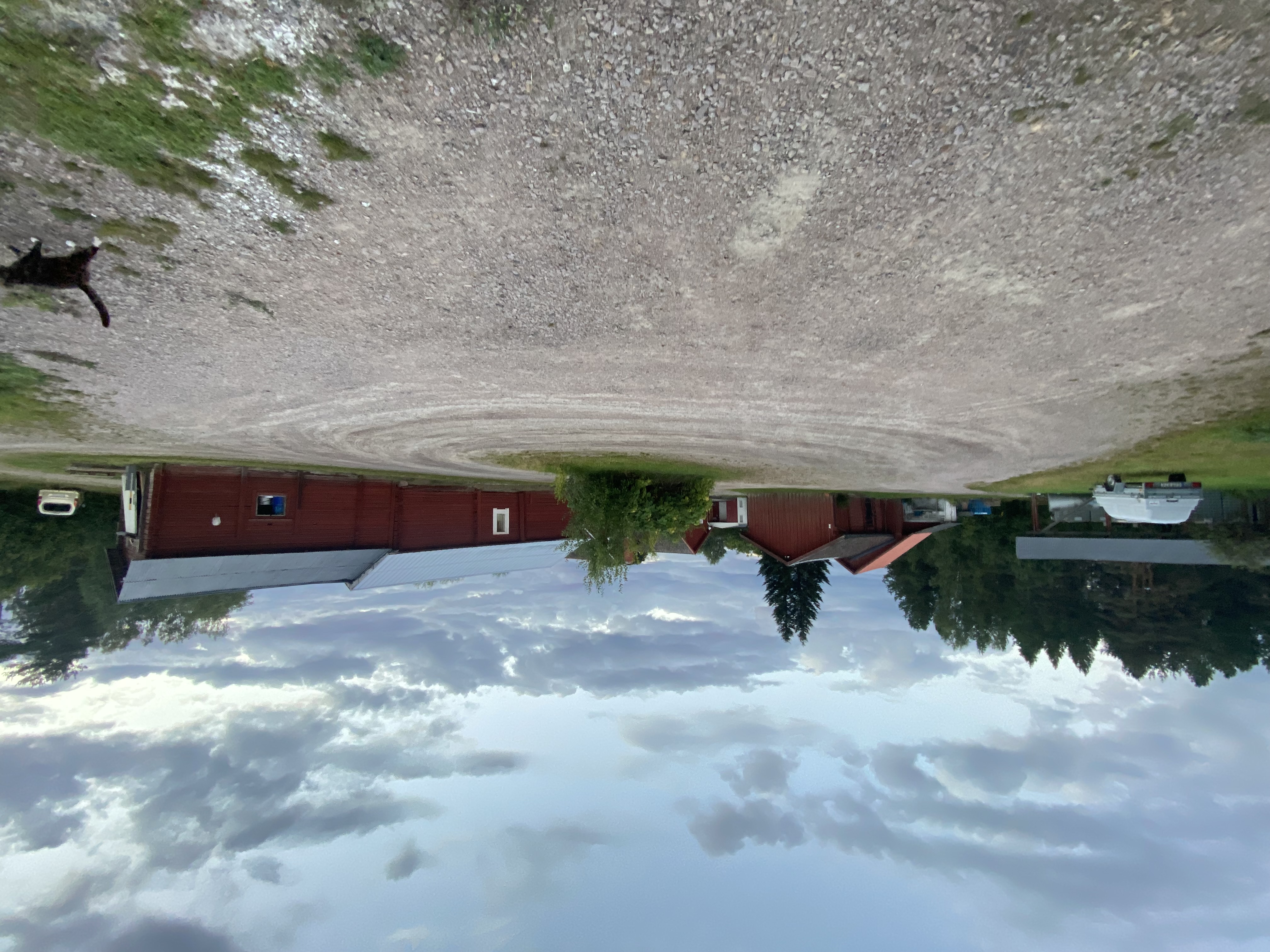 Bild från Svampfabrikens svampodling