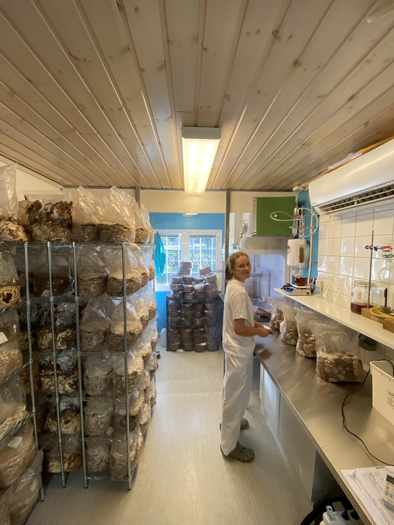 Agnes i labbet på Svampfabriken