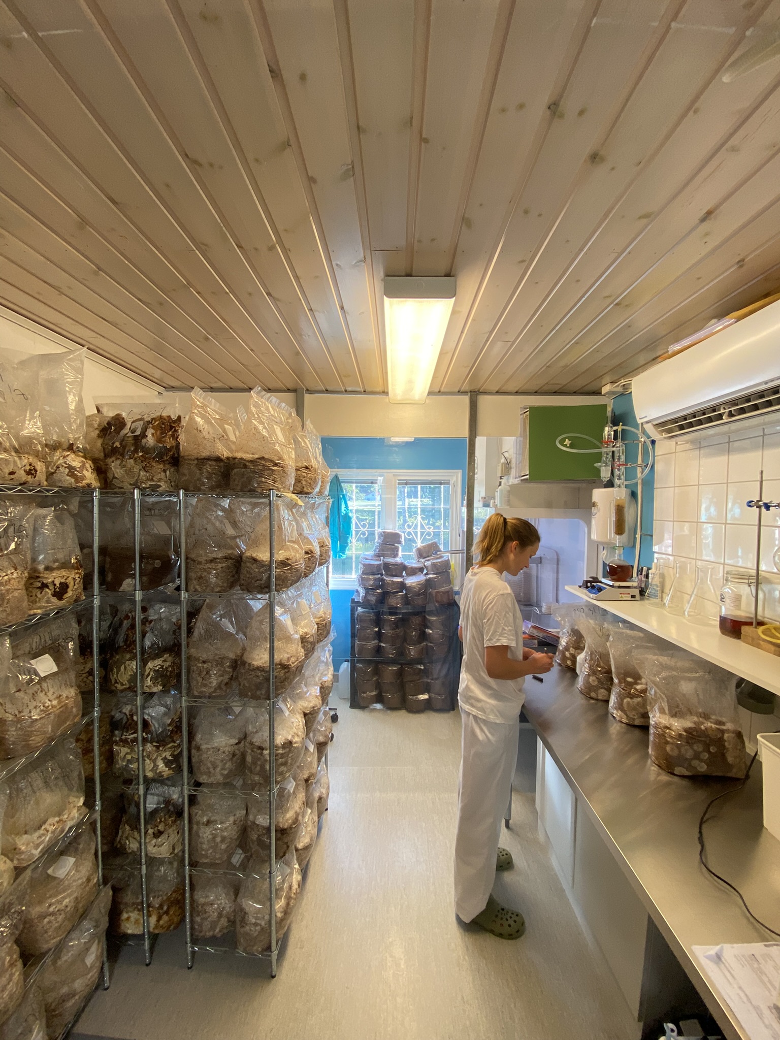 Agnes i Svampfabrikens laboratorium