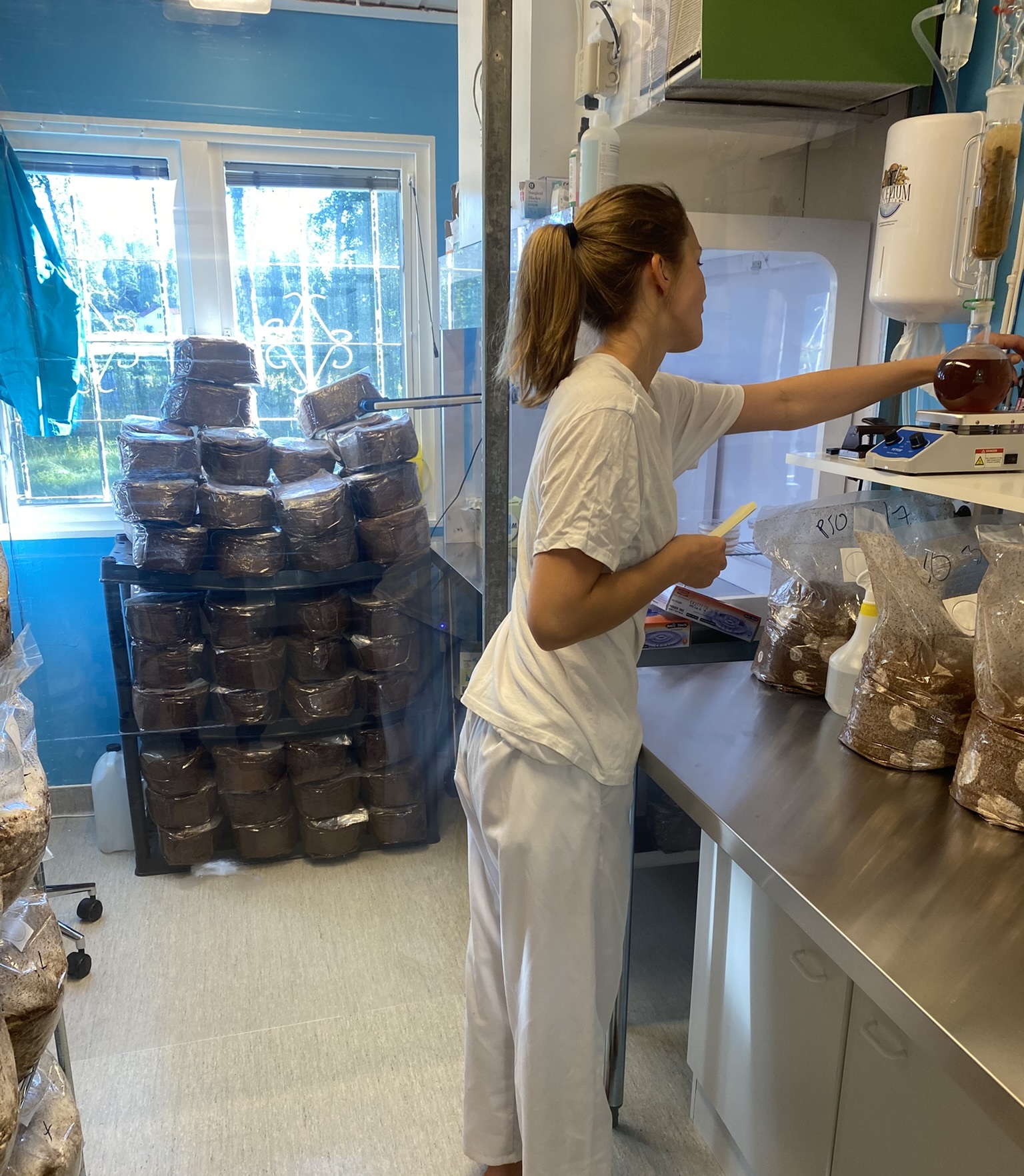 Bild från Svampfabriken i Värmland