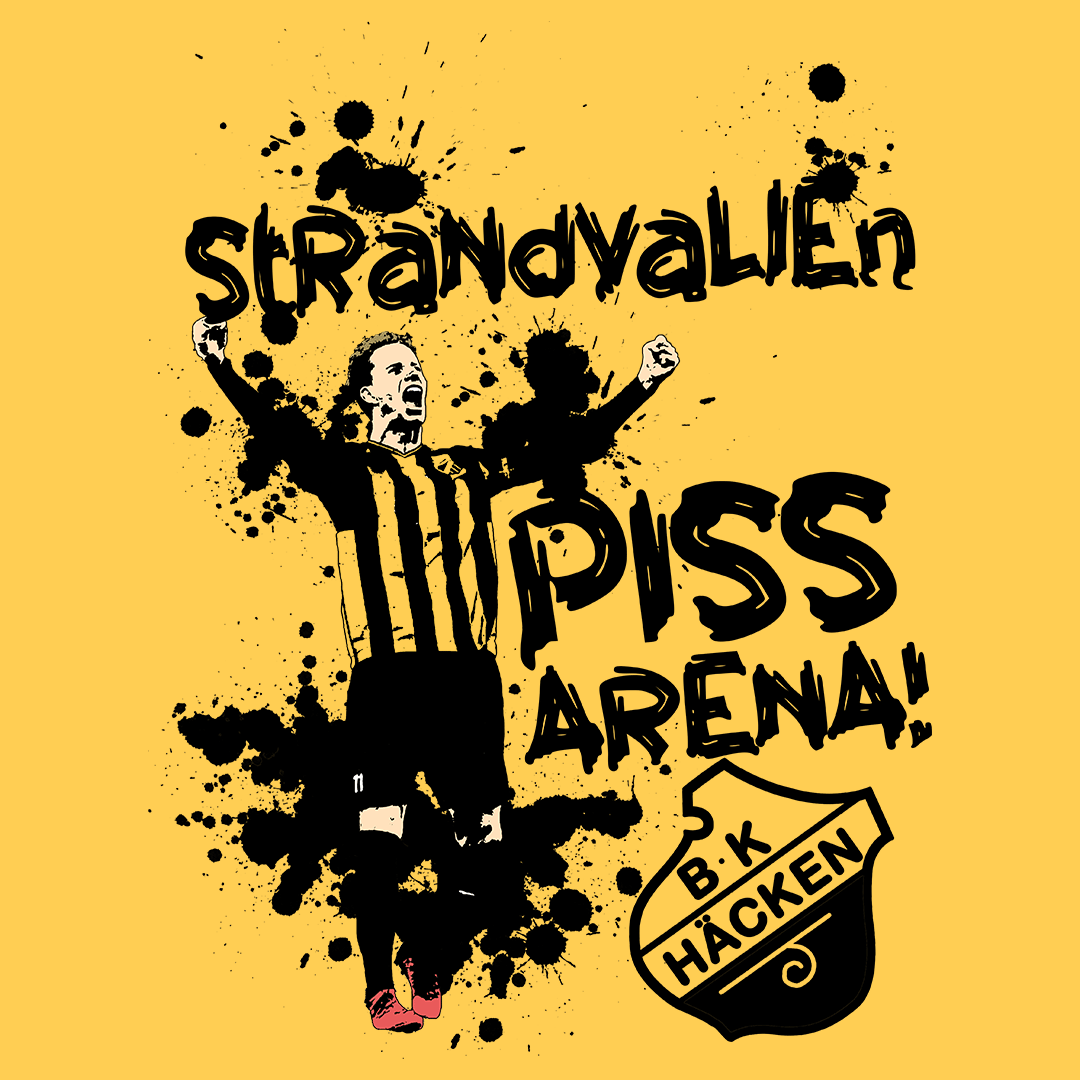 Pissarenan Strandvallen