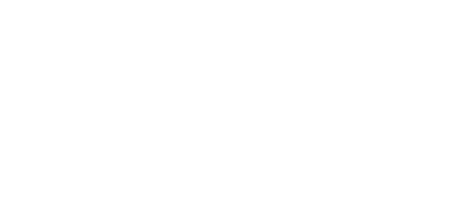 Boston banner
