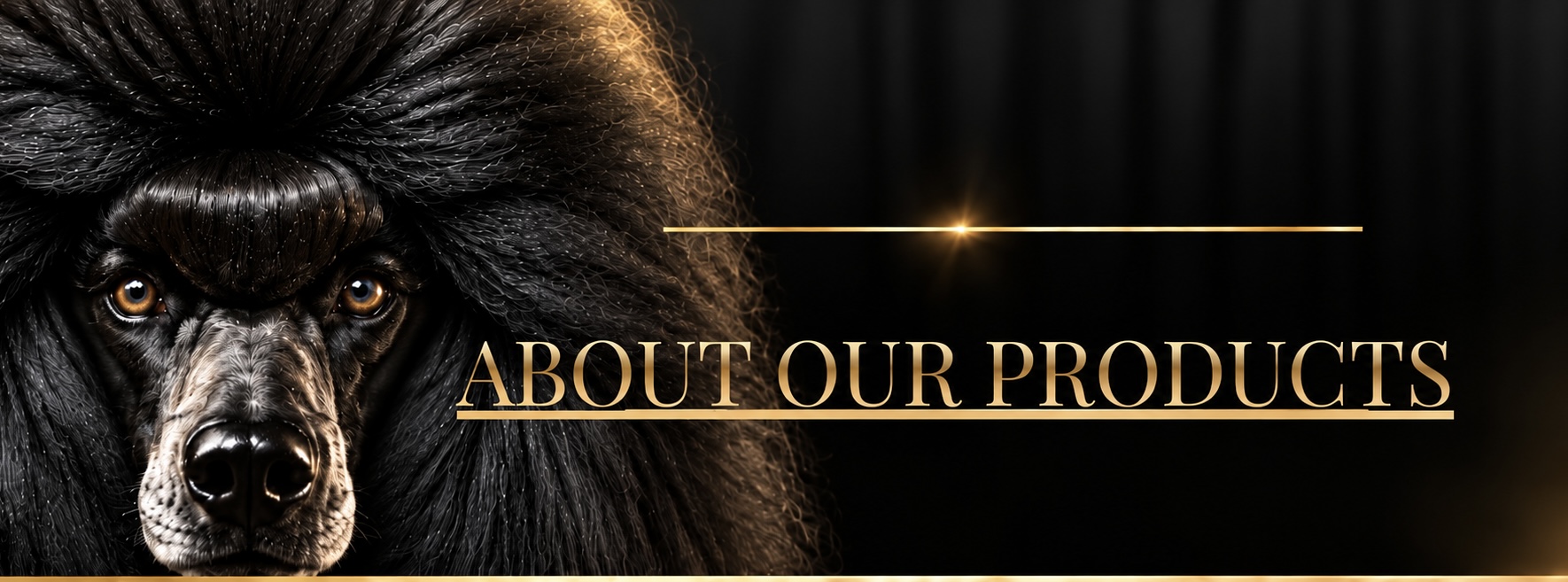 Always Your Friend — Peluquería profesional