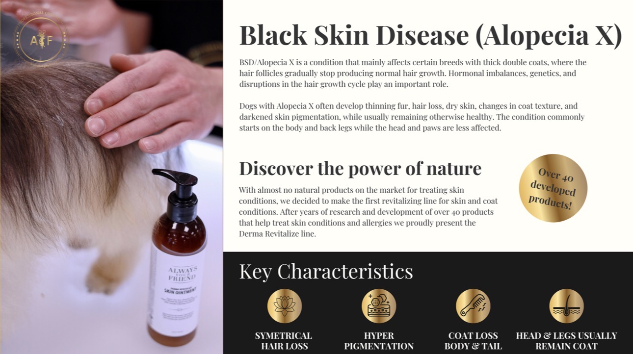 Información educativa sobre la alopecia X y la gama Always Derma Revitalize