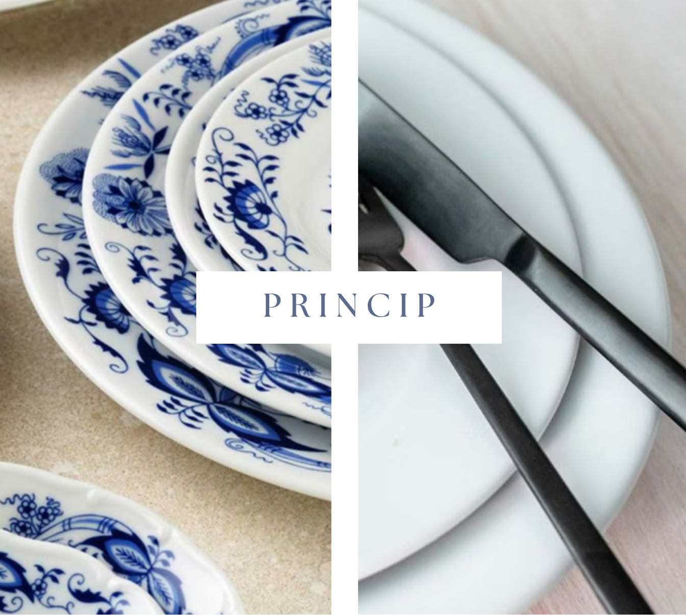Princip