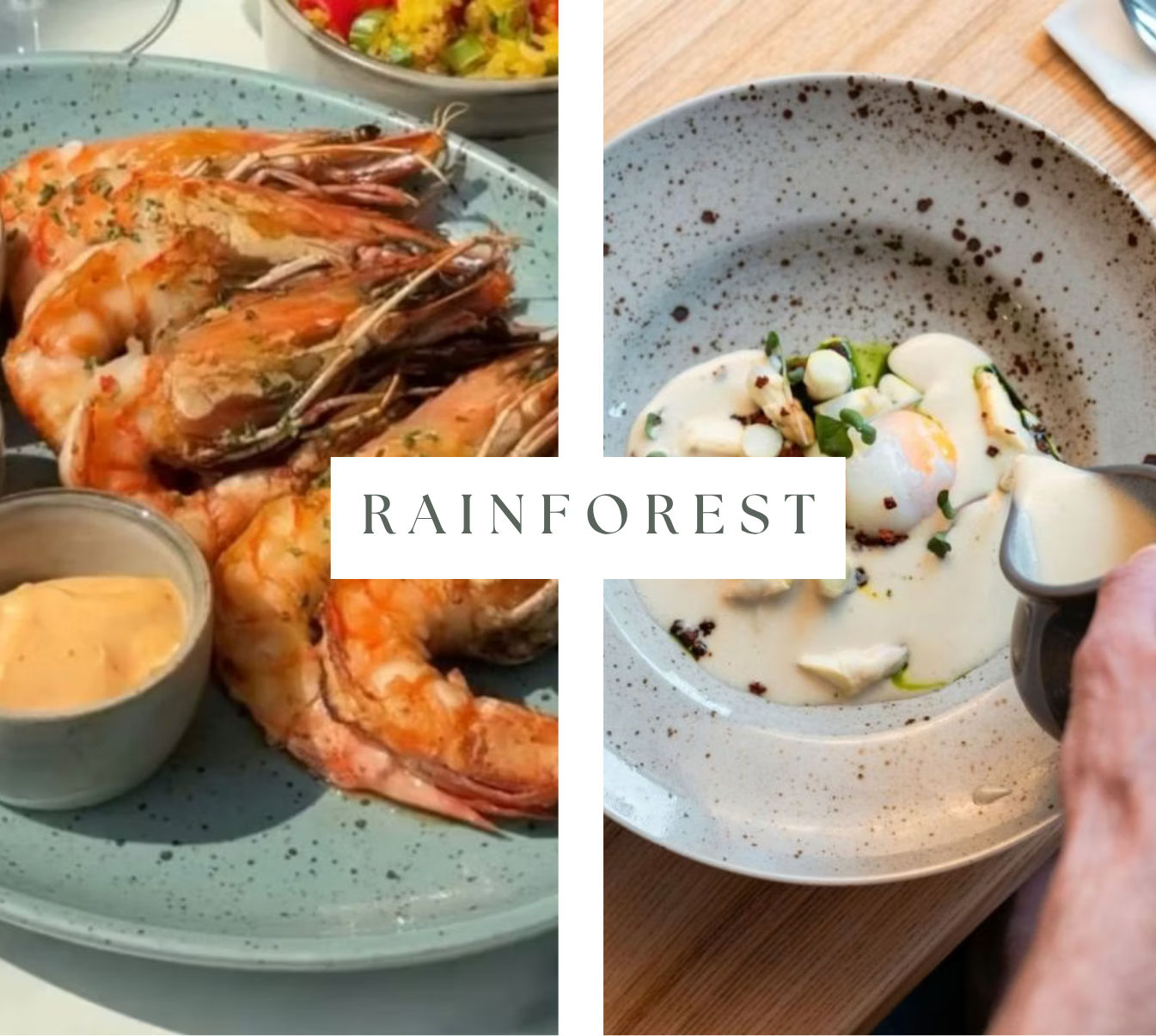 Rainforest