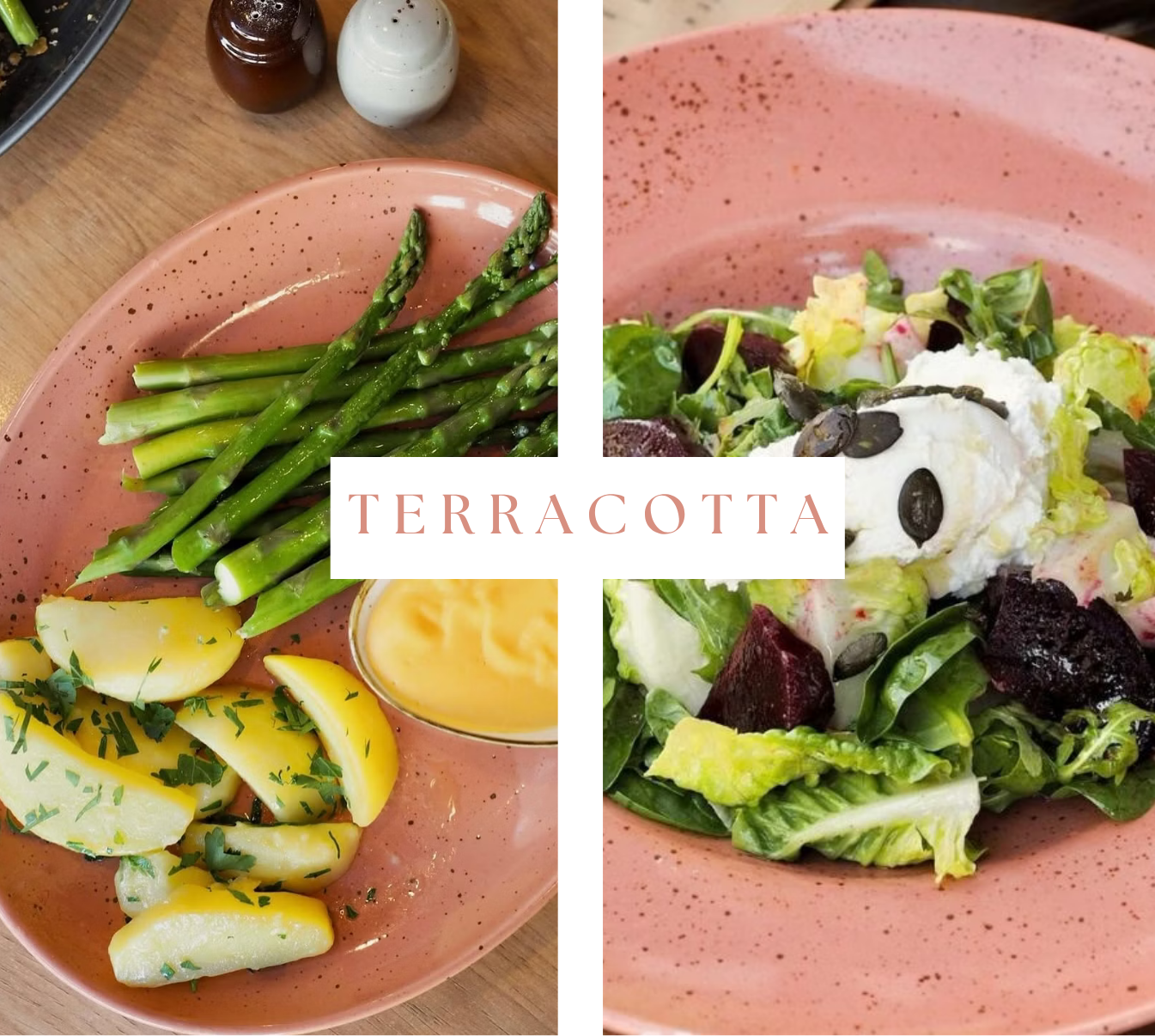 Terracotta