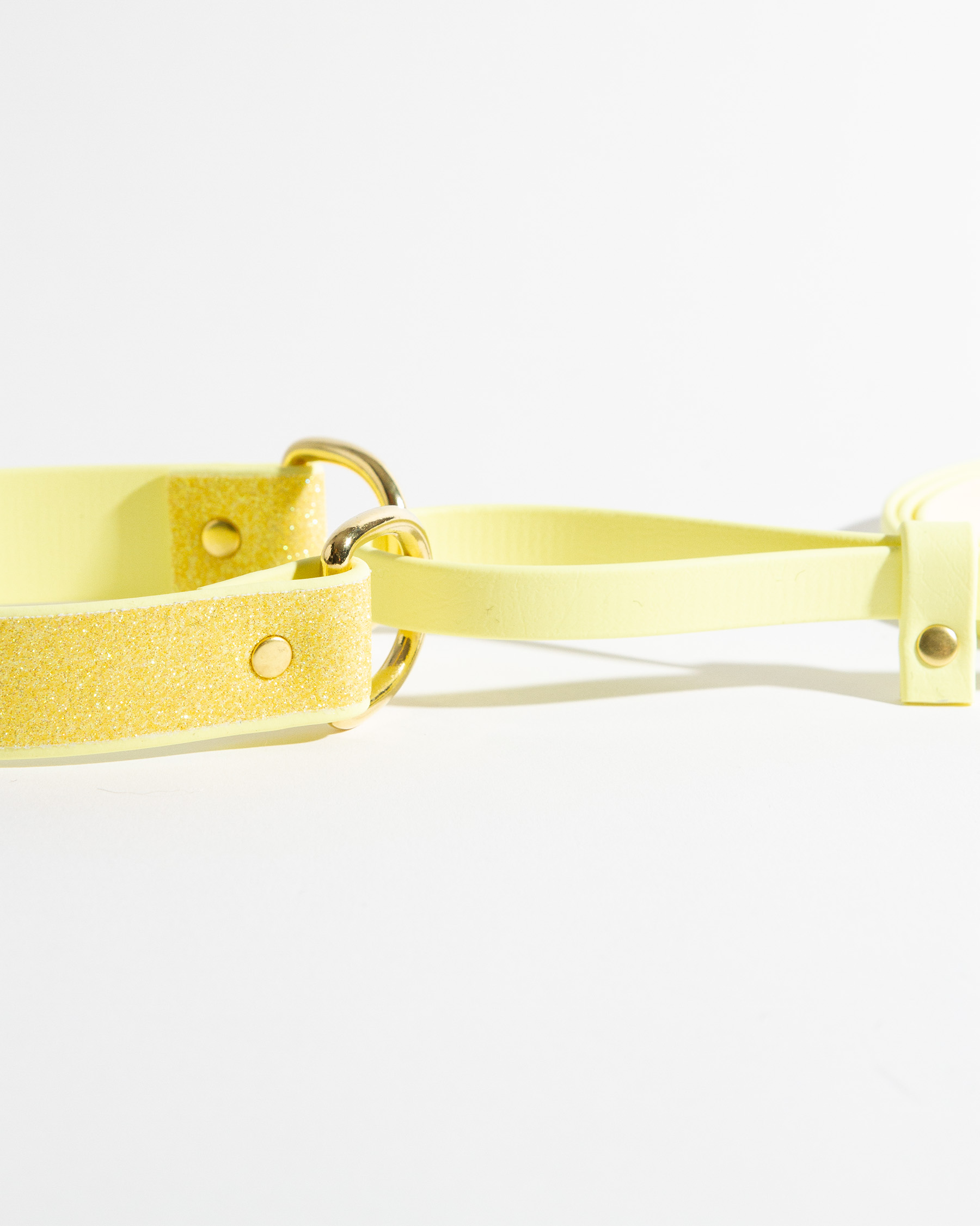 Glittrigt koppel i BioThane