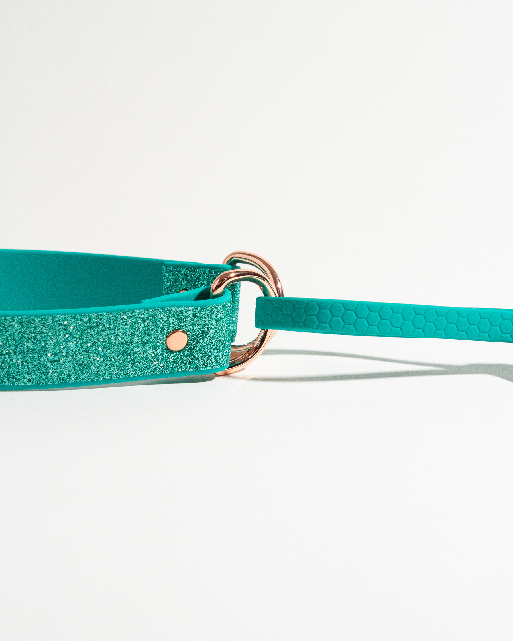 Glittrigt koppel och halsband