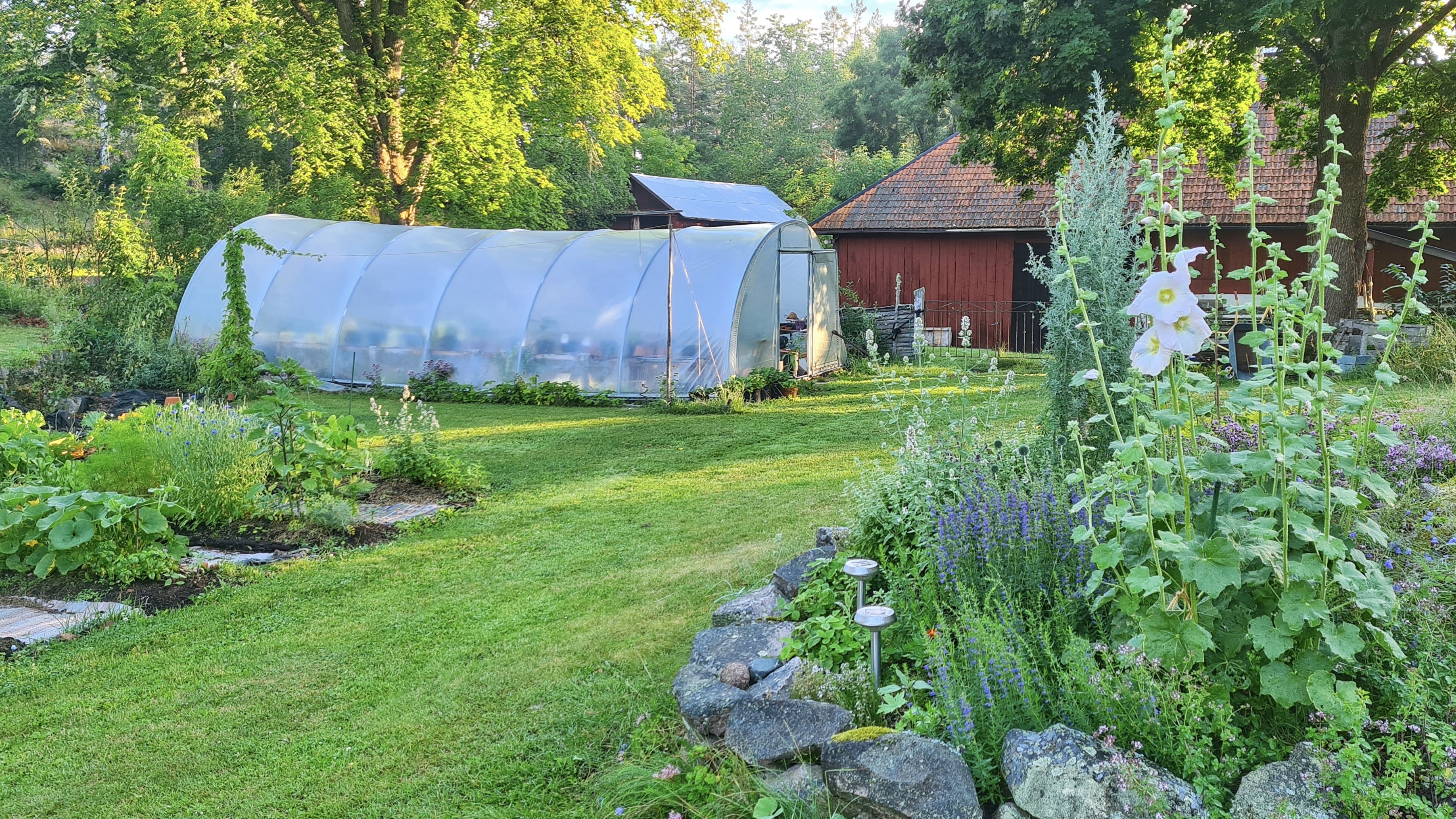 växthus i trädgård