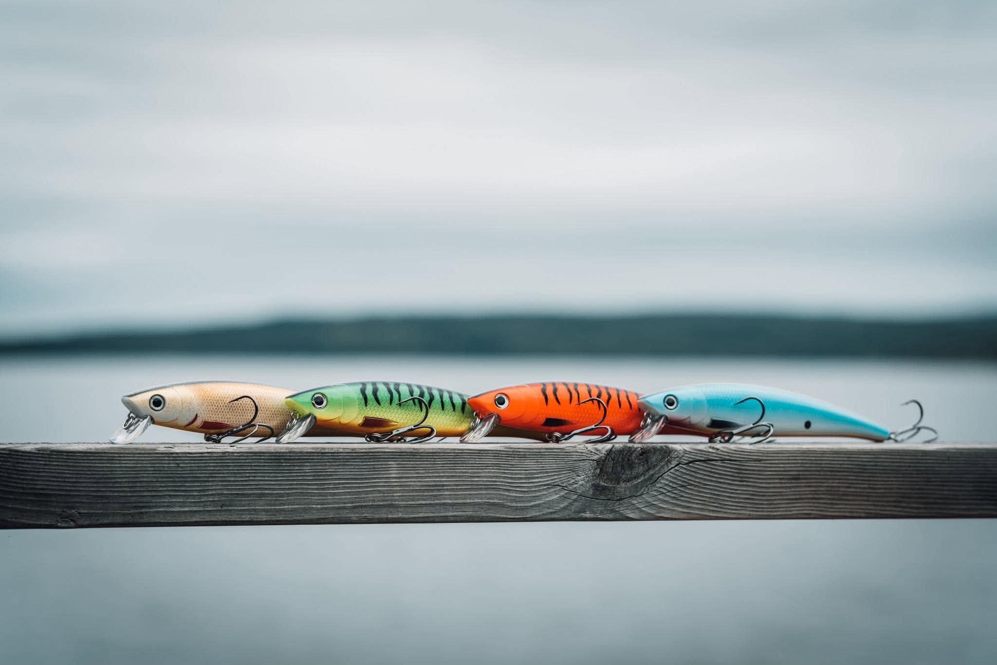 Höstfiske hos FISKRO