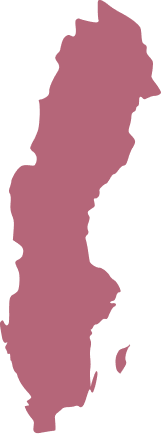 Sverige ikon