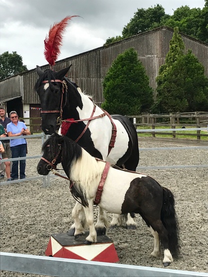 County Chairs round Up South Downs Big Little