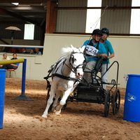 One of our Carriage Drivers