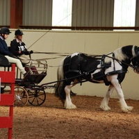 xIvan Fielder of Bradbourne drives Disney through the obstacles