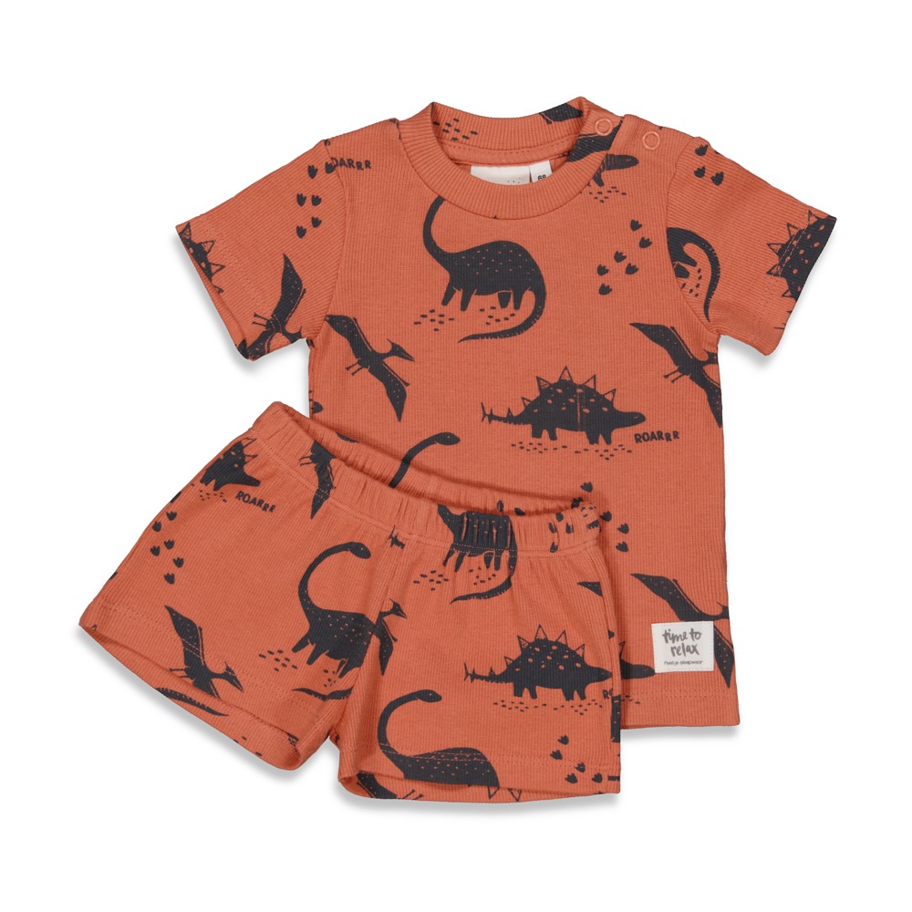 Feetje premium summerwear shortama - Dino Dale