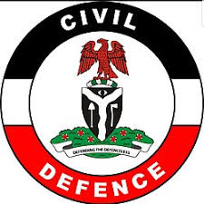 Nigeria Security and Civil Defence's Logo