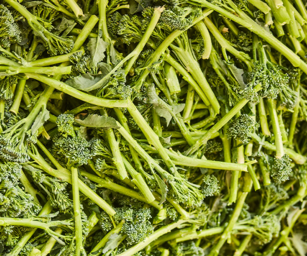 Cultivating a real love for Tenderstem® broccoli