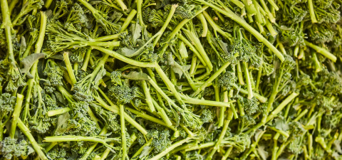Tenderstem® broccoli