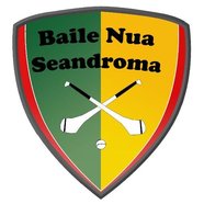 Newtownshandrum GAA & Camogie