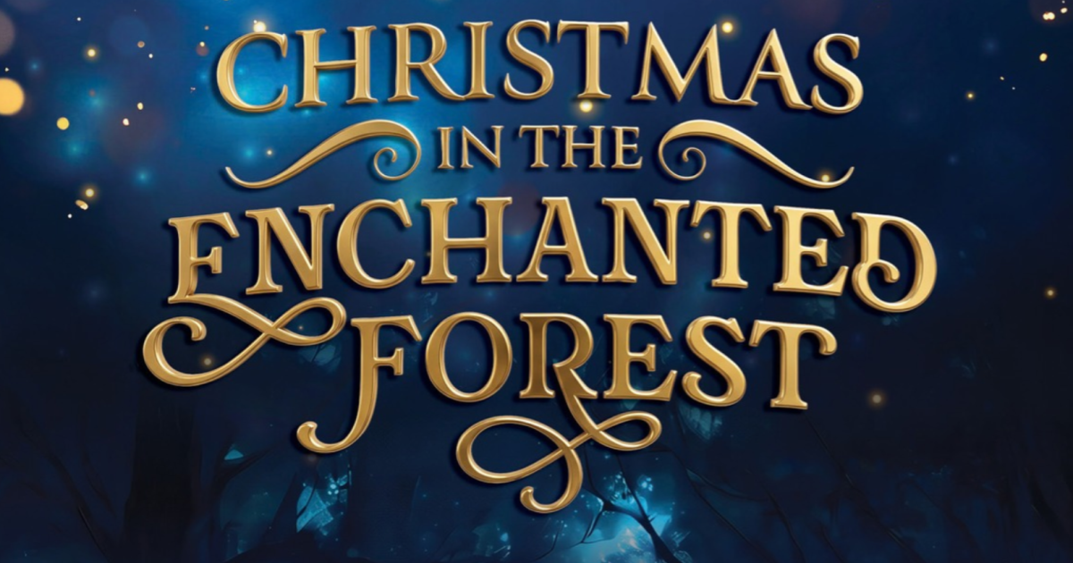 Christmas in the Enchanted Forest at The Point, from The Point Theatre Eastleigh