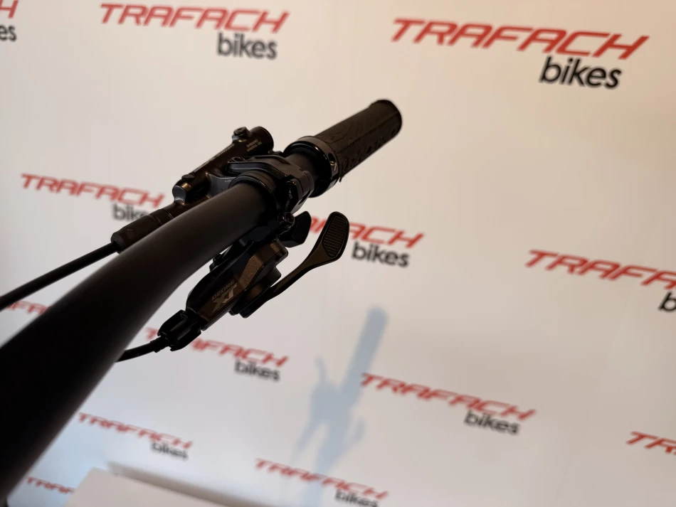 Gris/Oro