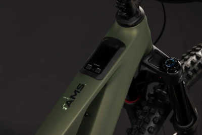 Reedgreen´n´gills