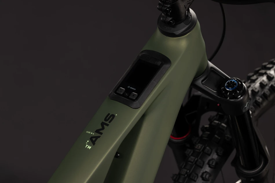 Reedgreen´n´gills