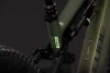 Reedgreen´n´gills