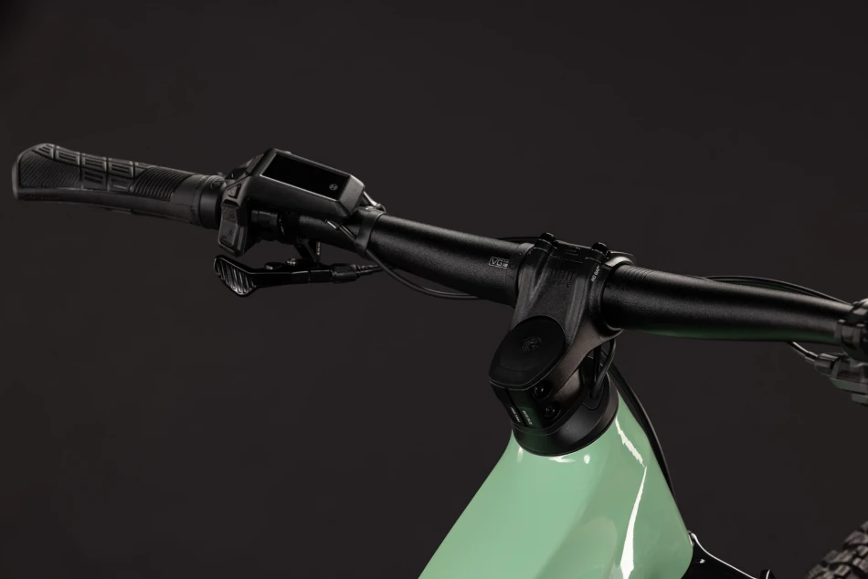 Cactus´n´black