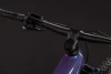 Blueiris´n´purple