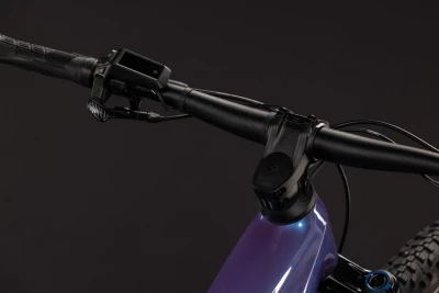 Blueiris´n´purple