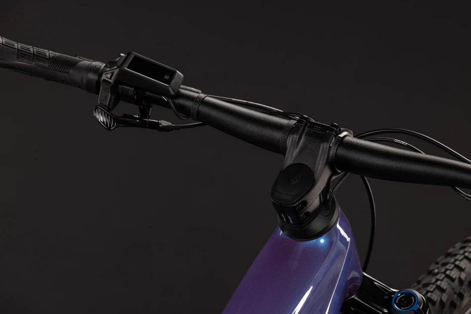 Blueiris´n´purple