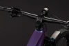 Blueiris´n´purple