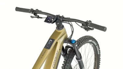 Bronze Matt / Black Matt
