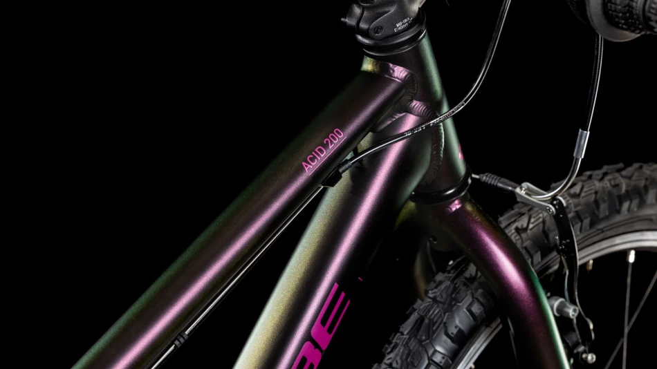Molotov´n´pink