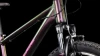 Molotov´n´pink