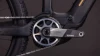Carbon´n´gold