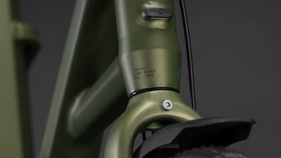 Reedgreen´n´reflex