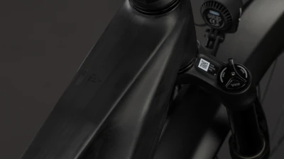 Carbon´n´silverdust