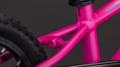 Fucsia´n´plum
